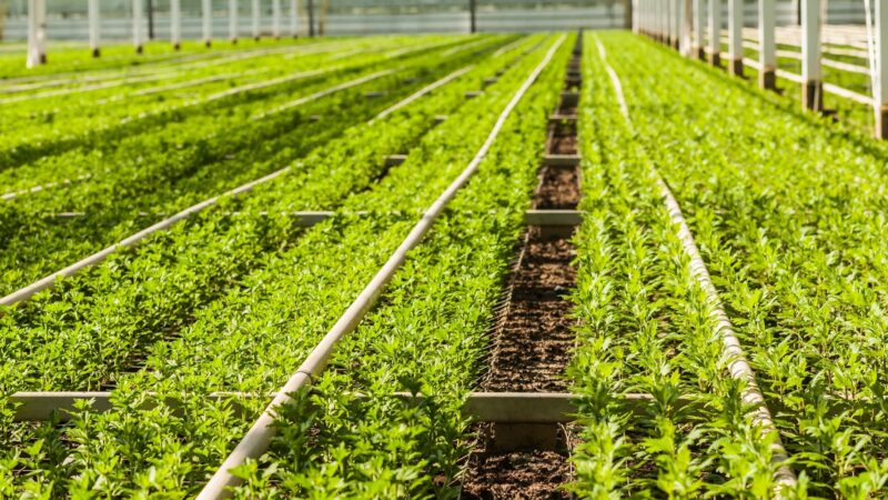 Agriculture Farm Debt Agriculture Farm Debt